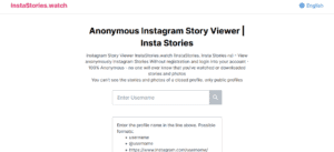 StorySaver.net Alternatives