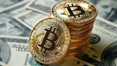 The opposing sides of bitcoin investment