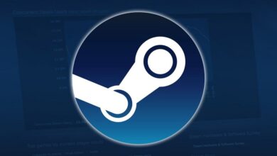 Could Not Connect To Steam Network