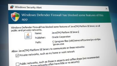 Windows Defender Firewall Has Blocked Some Features Of This App