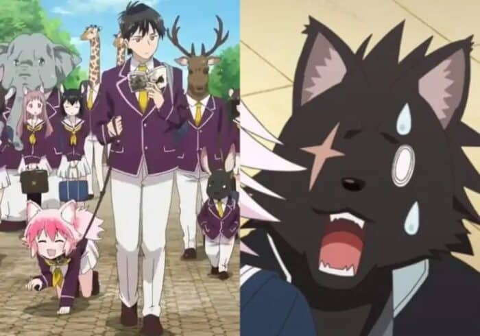 Furry Anime